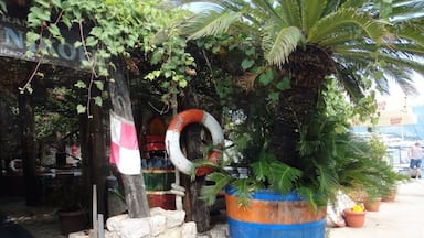 Um ambiente rústico ao ar livre, com uma parede de pedra, um barril grande e uma árvore com trepadeiras penduradas.