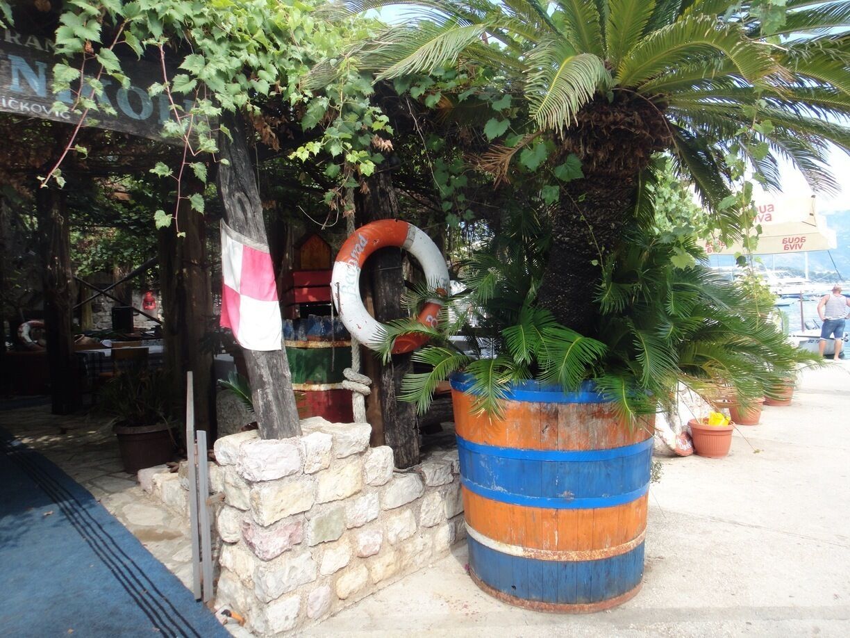 A rustic outdoor setting with a stone wall, a large barrel, and a tree with hanging vines.