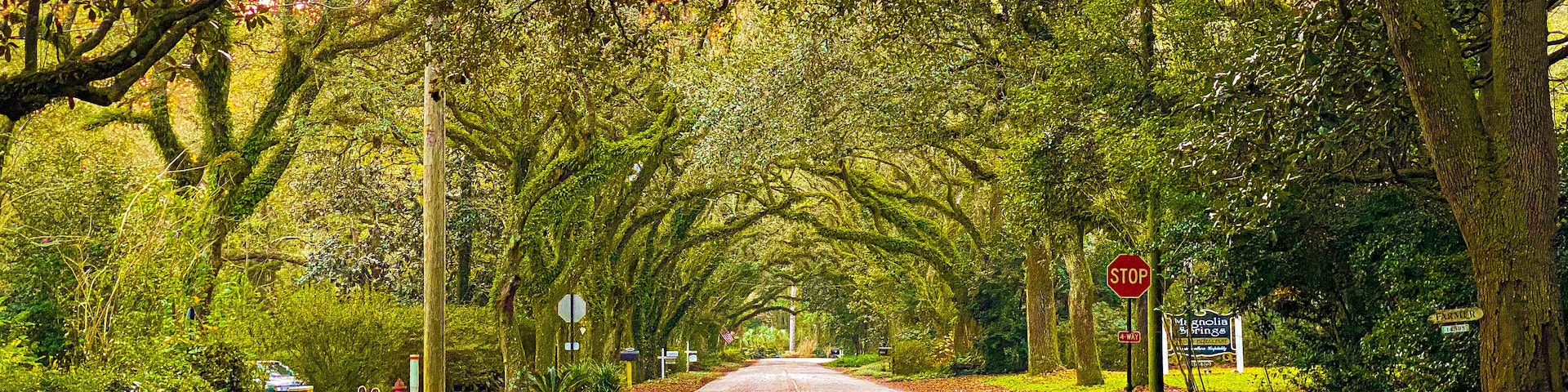 A tree-lined road with a stop sign and directional signs.