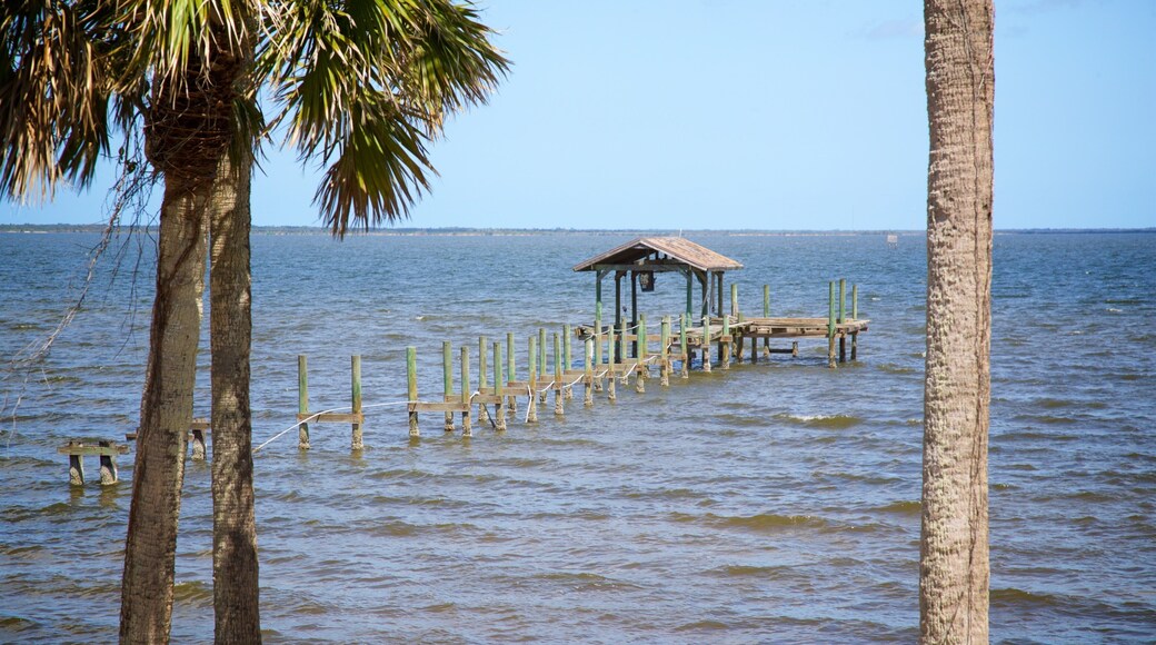 Titusville showing general coastal views