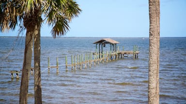 Titusville showing general coastal views