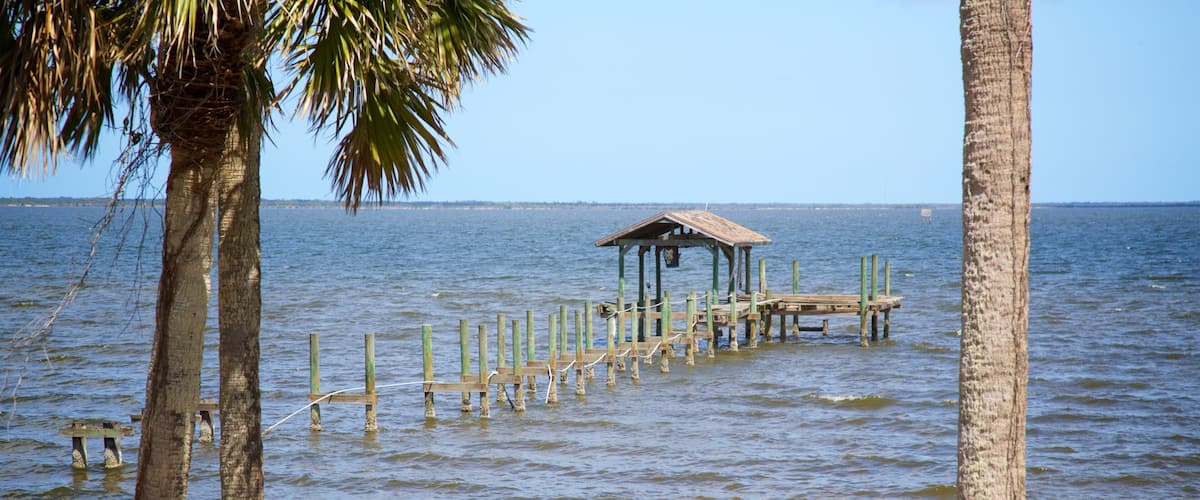 A wooden pier extending into calm waters, surrounded by palm trees.