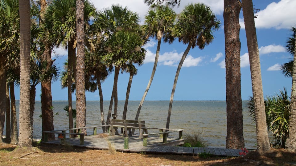 Titusville featuring general coastal views