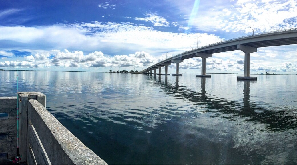 This is a great place for fishing and viewing wildlife swimming by! #aquatrove