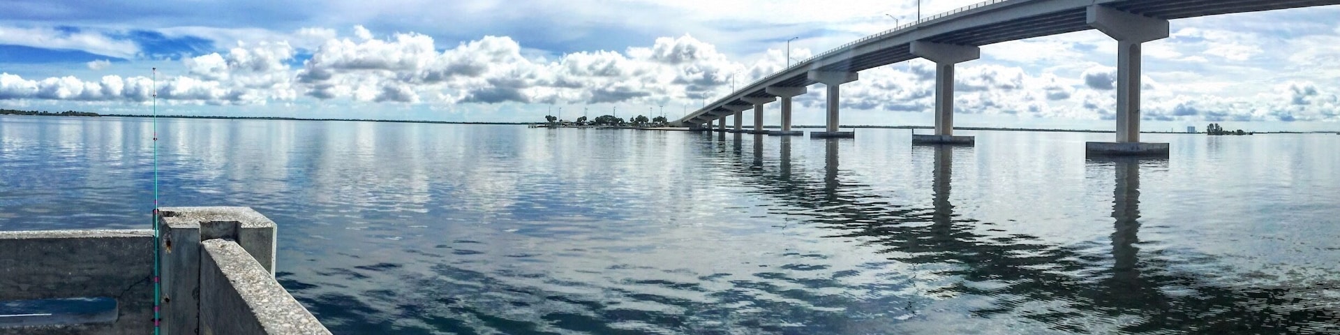 This is a great place for fishing and viewing wildlife swimming by! #aquatrove