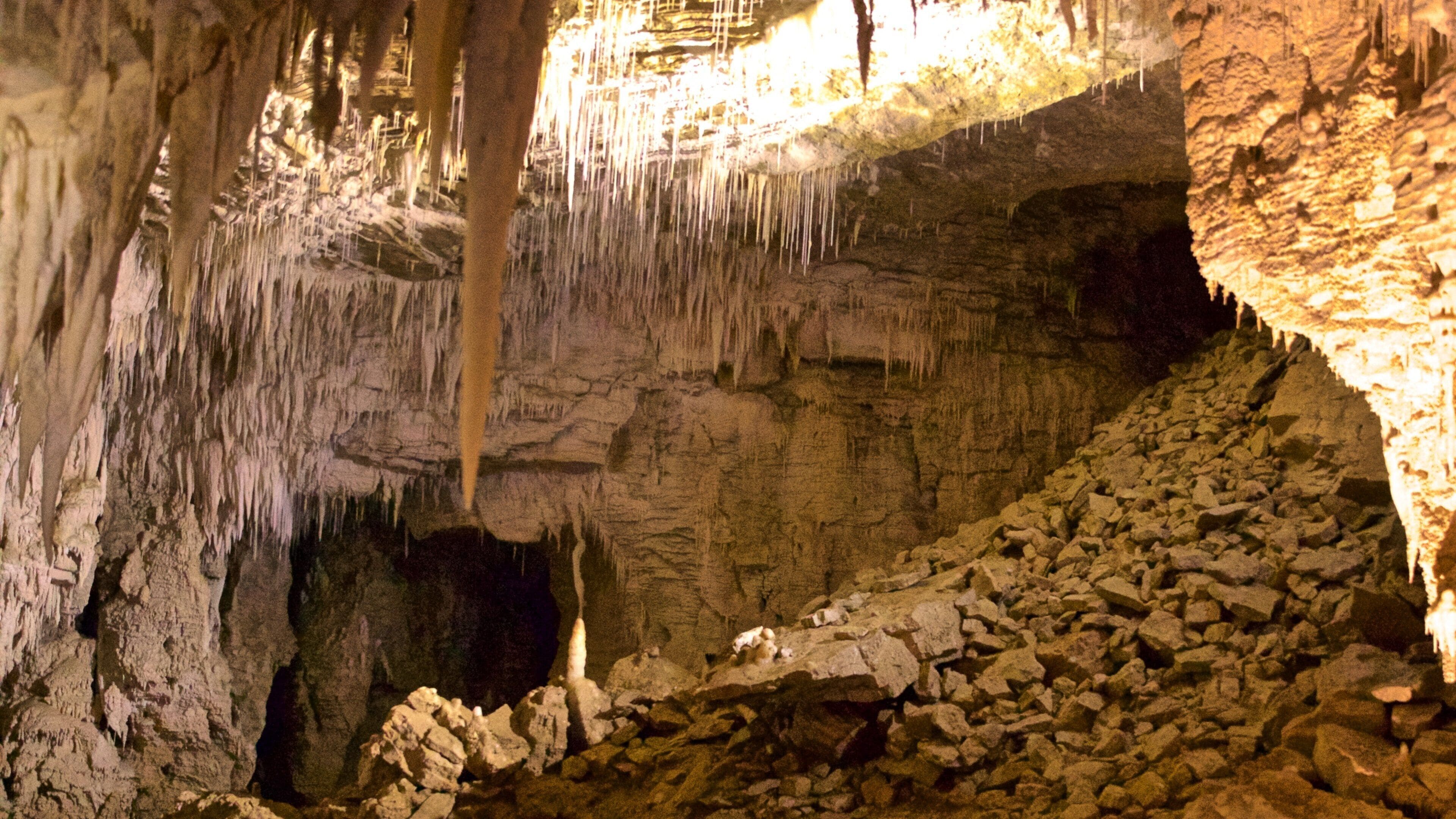 Waitomo Caves which includes caves