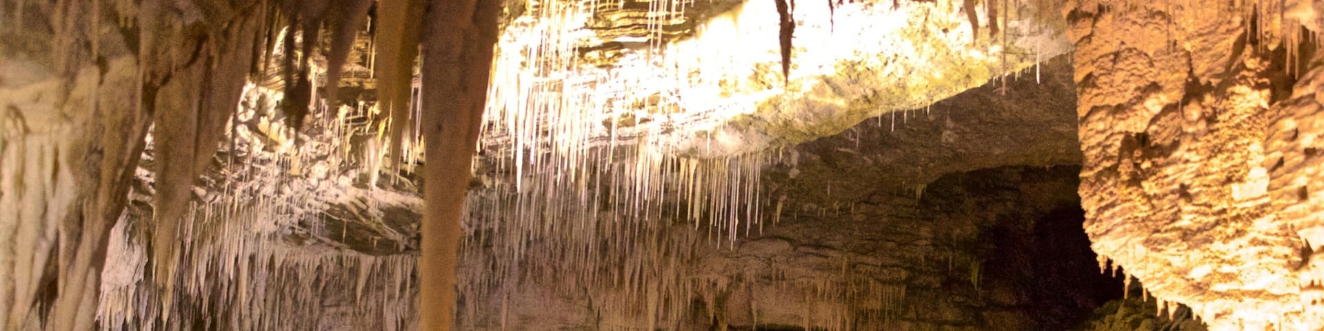 Waitomo Caves which includes caves