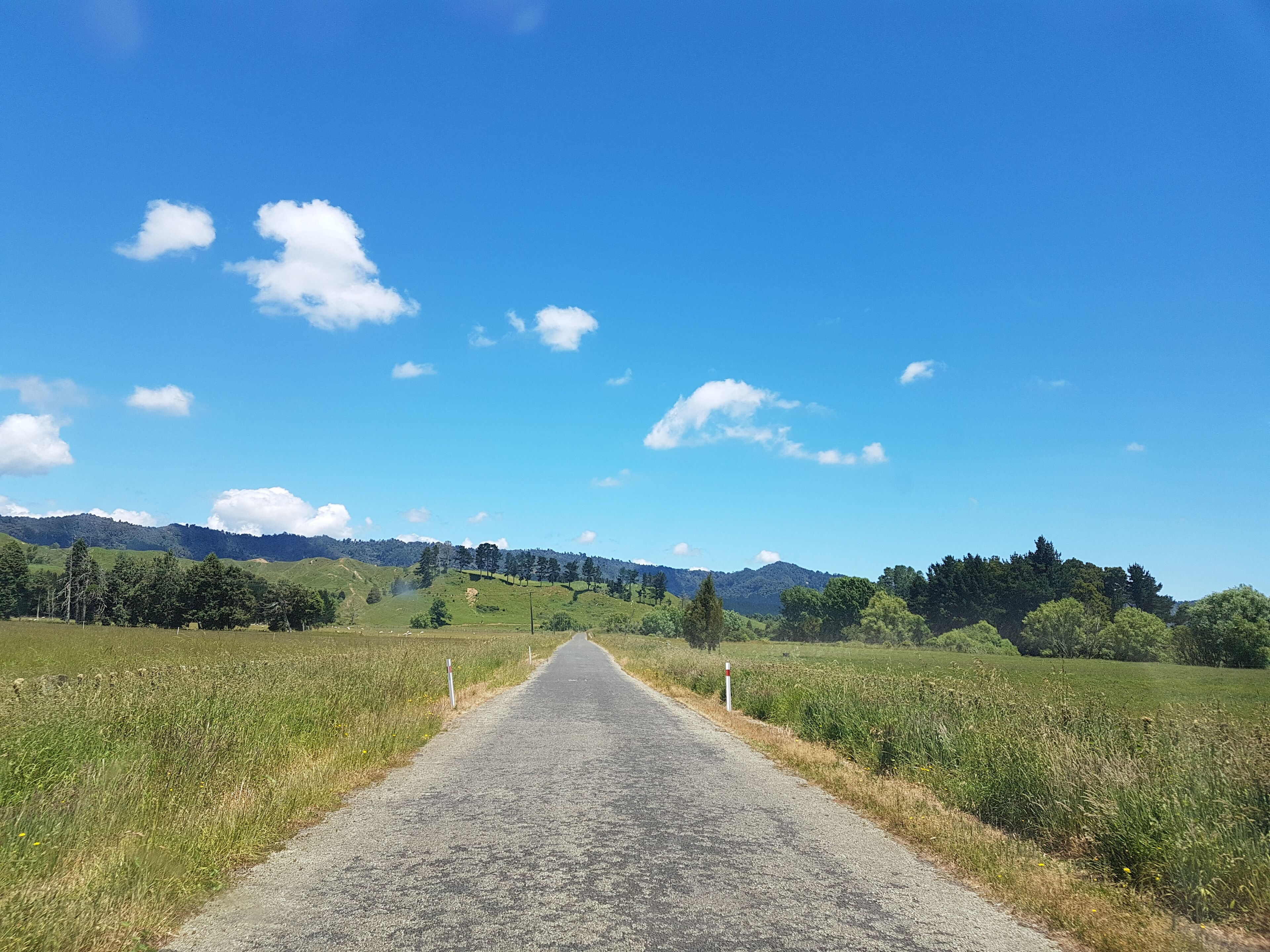 Get of the main Road and experience a real New Zealand adventure