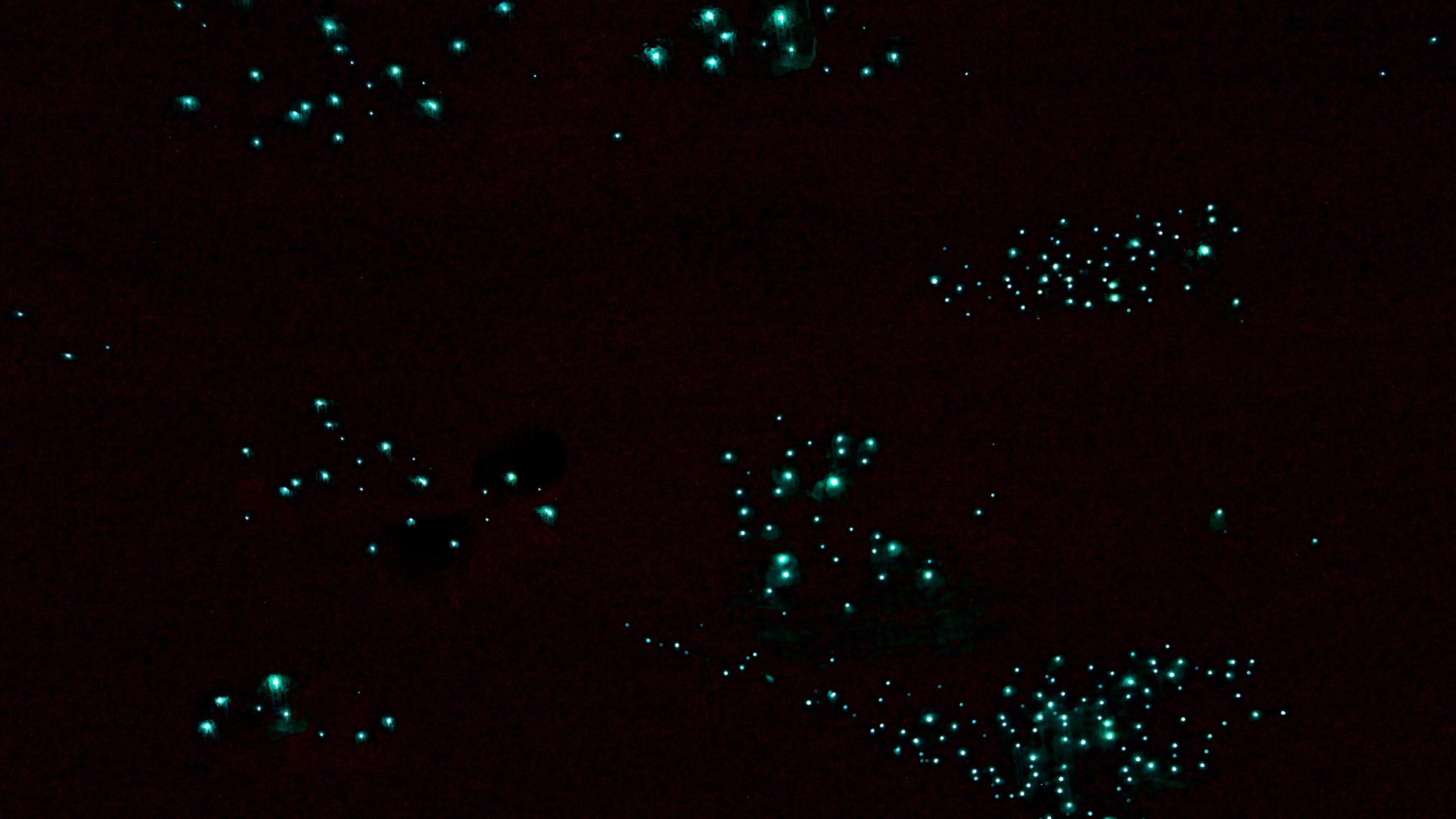 A dark sky with scattered bright points, possibly stars or lights.