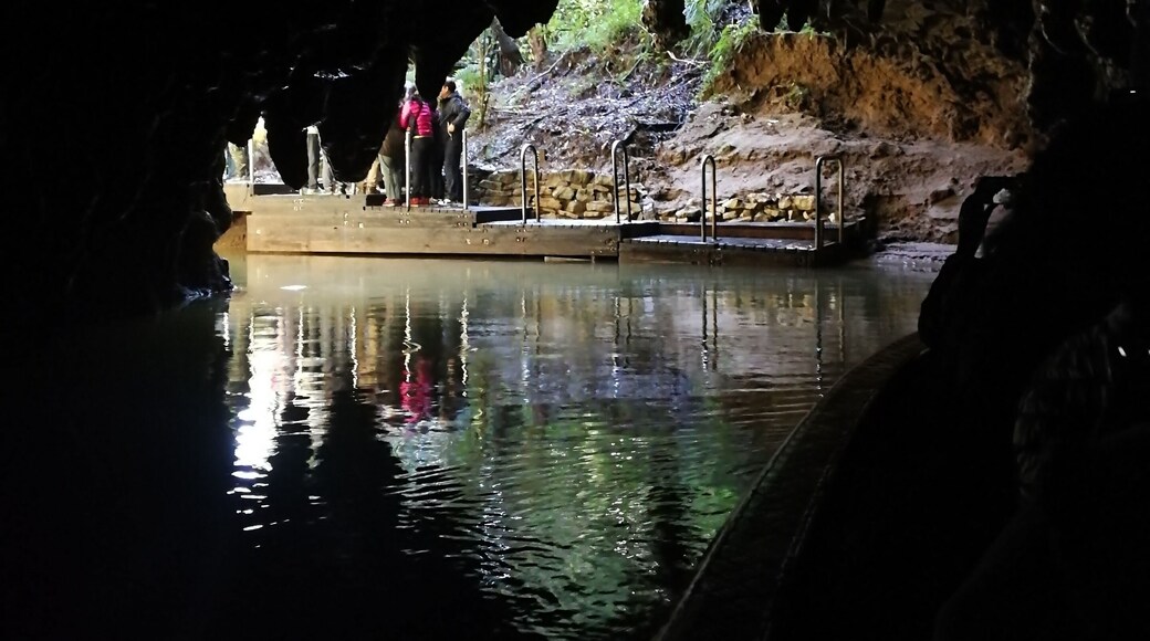 Leaving Waitomo Glowworm Caves