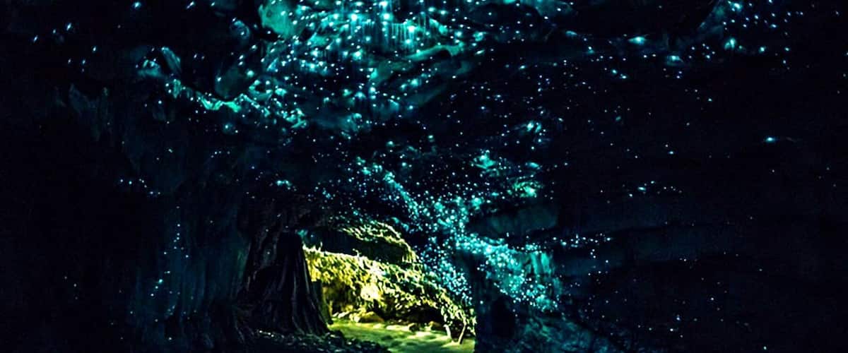 Waitomo Caves