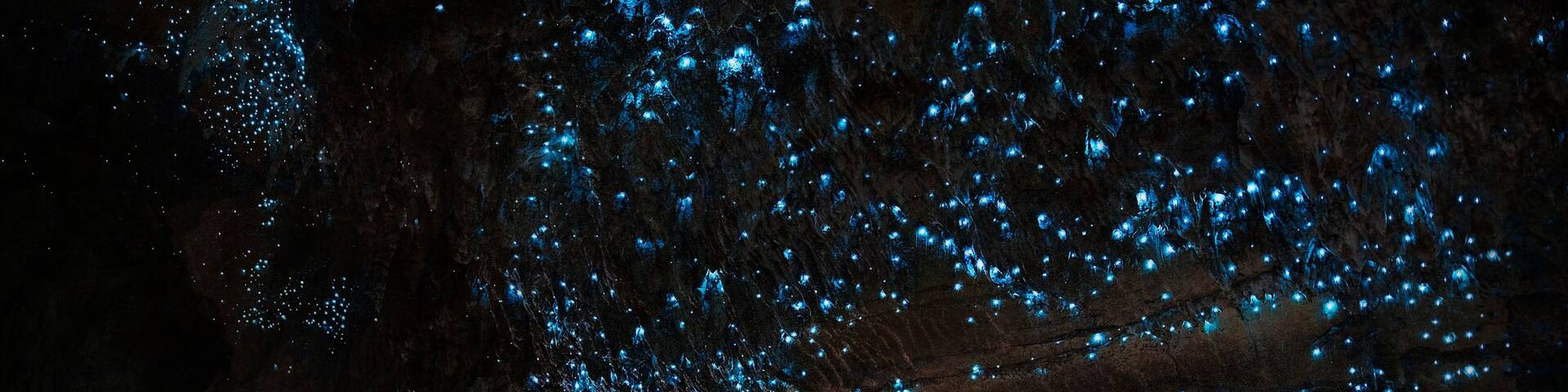 Two people walking through a cave with bioluminescent blue lights.