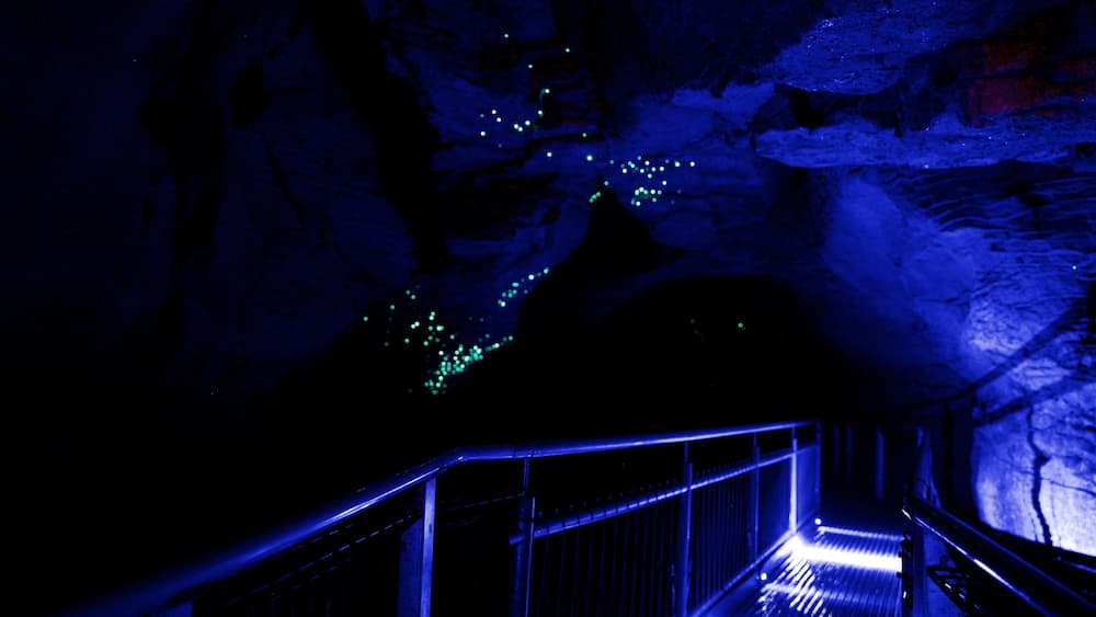 Waitomo Caves featuring caves
