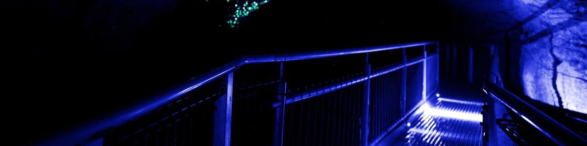 Waitomo Caves featuring caves