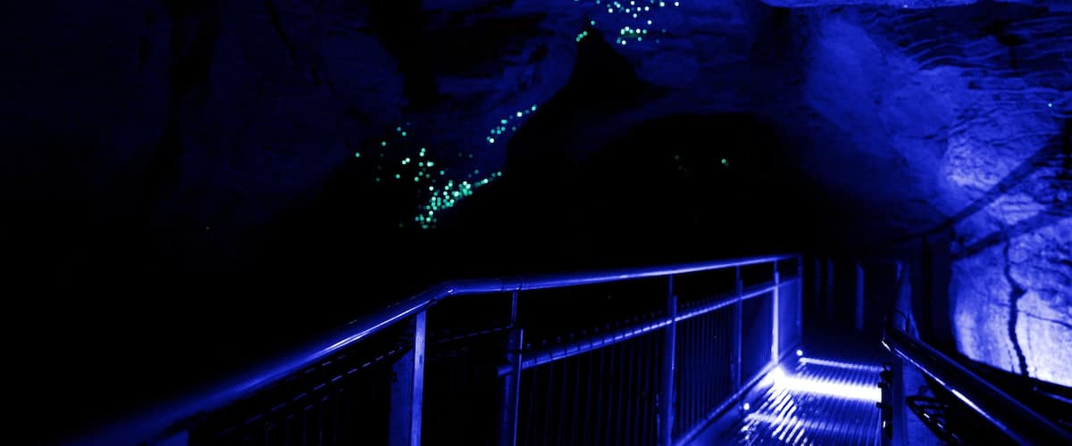 Waitomo Caves featuring caves