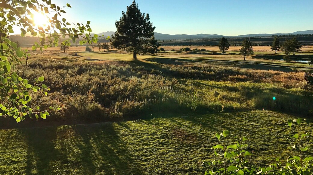 Nightly scenic sunsets