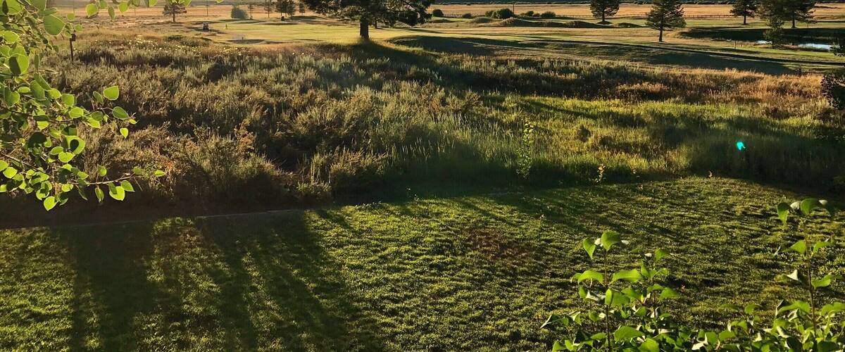 Nightly scenic sunsets