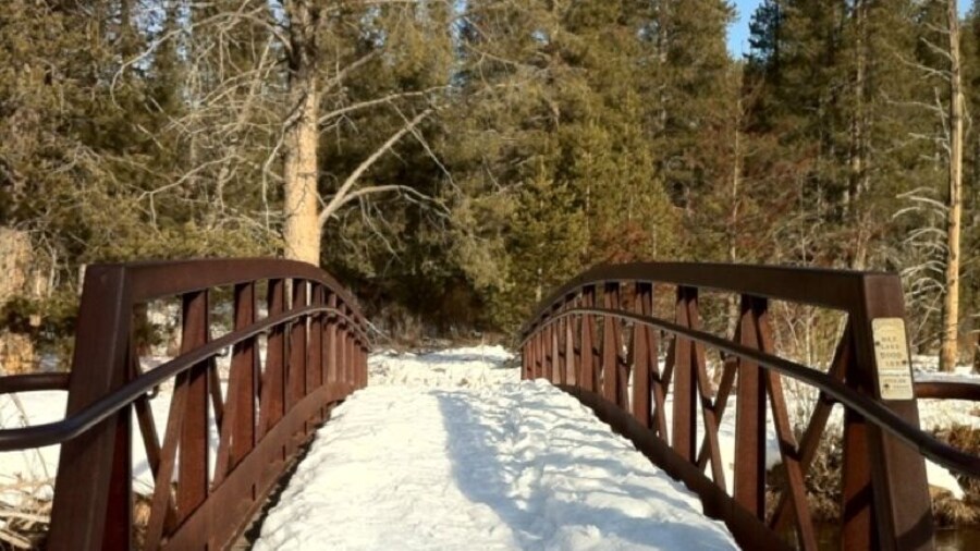 A little bridge nearby.