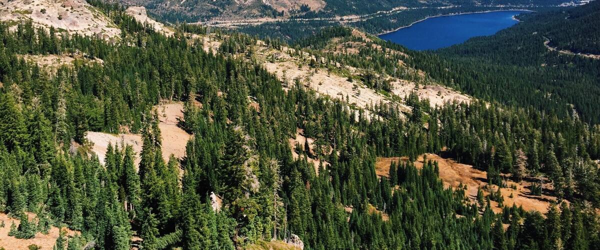 Hiking in the Tahoe National Forest (Mt Judah Loop Trail).
More on www.ajauntwithjoy.com