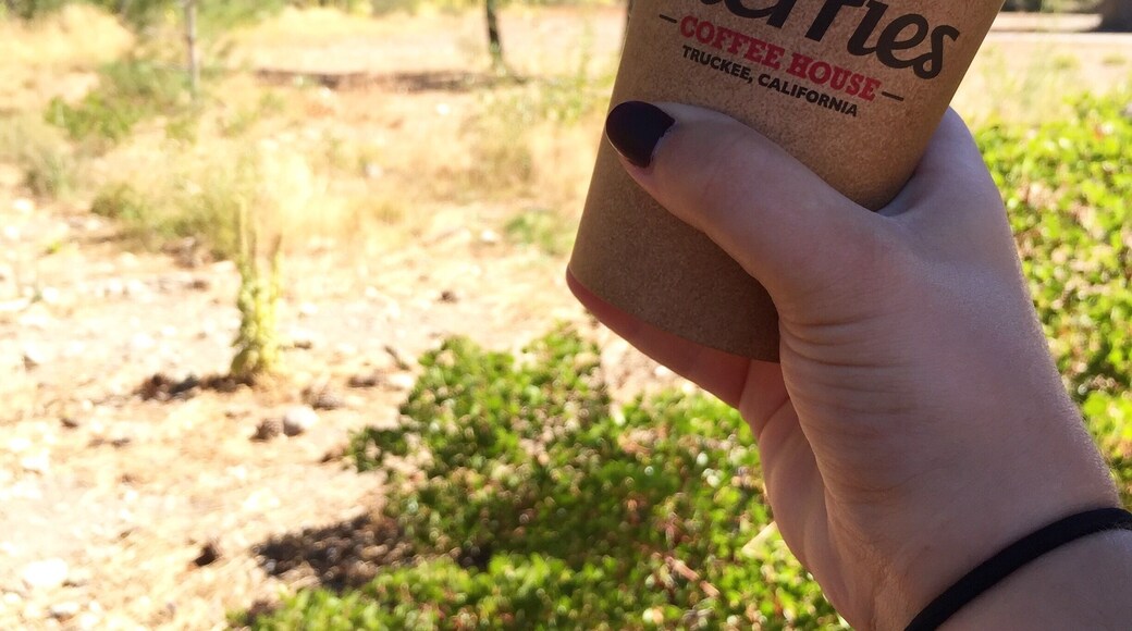 Fav coffee spot in Donner