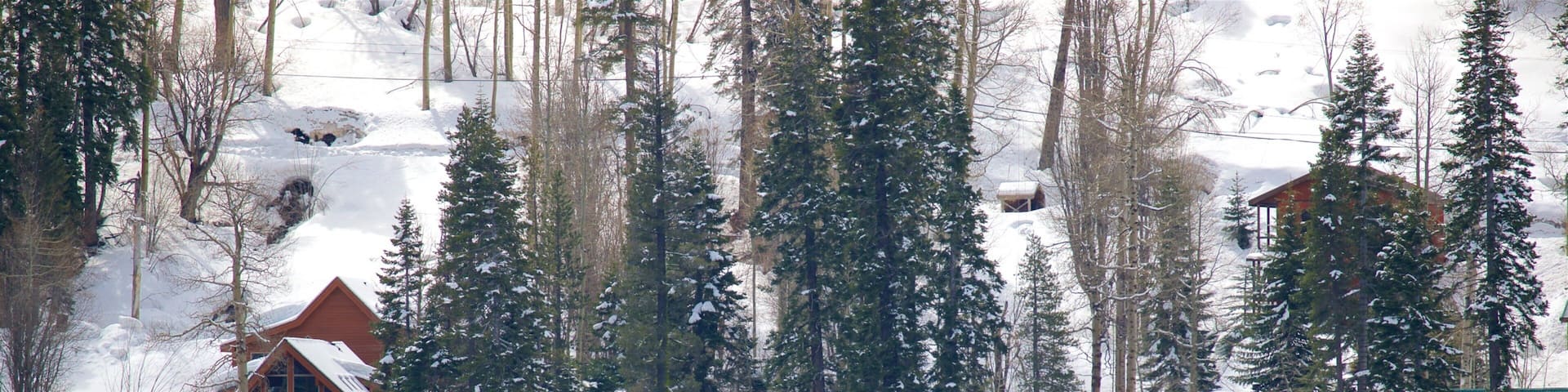 Truckee showing snow, a river or creek and a small town or village