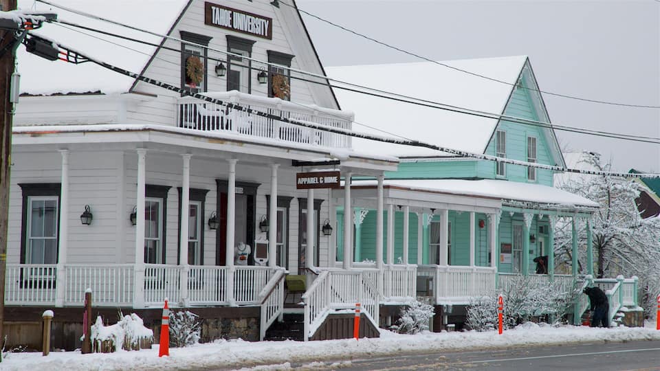 Truckee which includes a house and snow