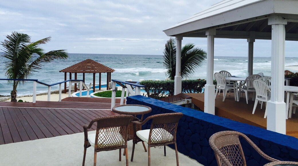 I didn't get a great shot, but this is a must stop for a rum punch or a bahama mama for any boaters in the area. killer bar, great vibe. the wasabi tuna appetizer was awesome, too.