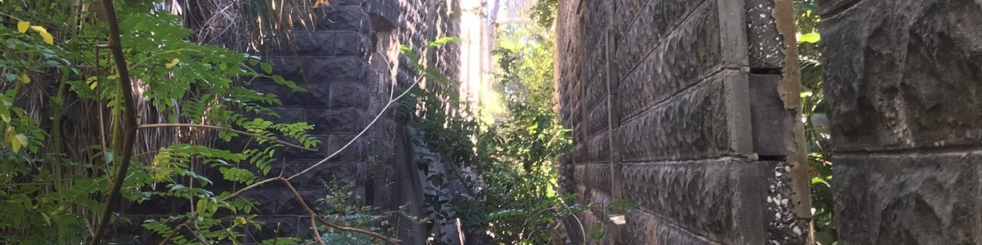 ruins on Egmont Key
#perspectives