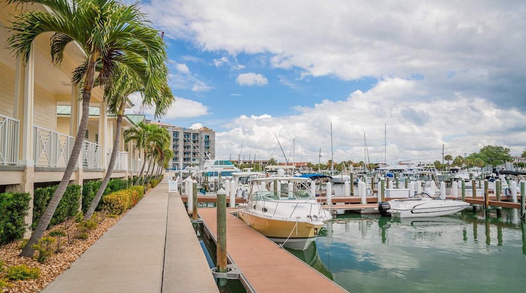 Tierra Verde which includes a bay or harbor