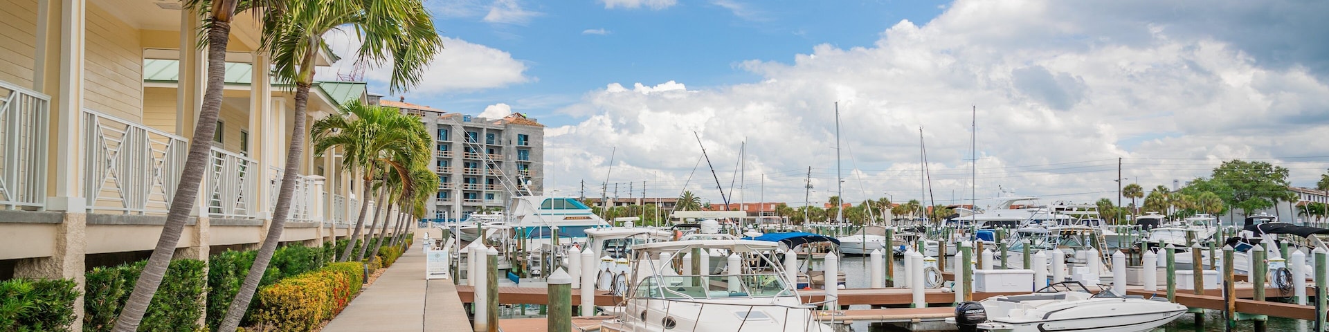 Tierra Verde which includes a bay or harbor