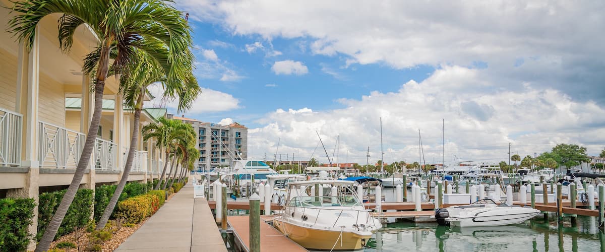A marina with boats docked, palm trees, and a hotel in the background.