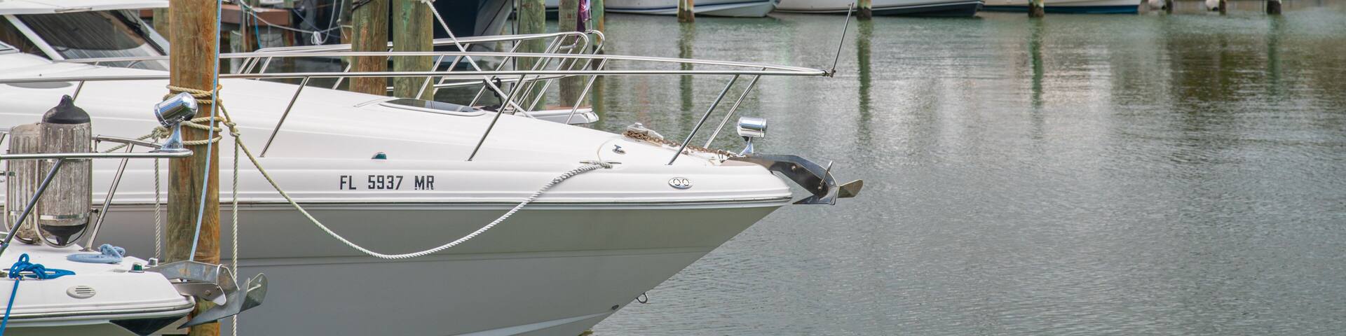 Tierra Verde featuring a bay or harbor