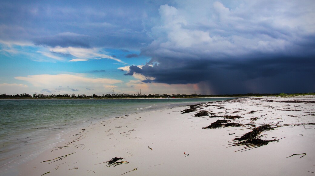 I was one of just a handful of people on the beach this summer afternoon when a pretty impressive thunderstorm popped up. #parks #beach #nature #weather