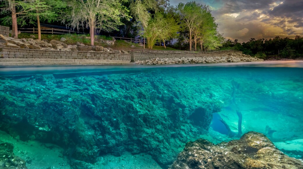 Little River Springs Illuminated at Night, Suwannee County, Florida