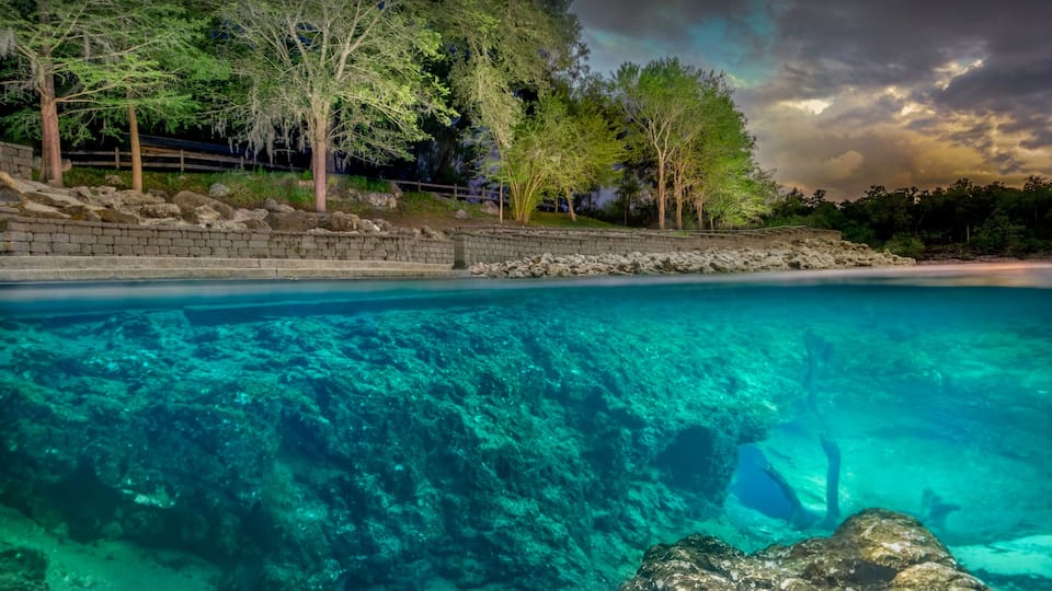 A clear blue pool with underwater rocks, surrounded by trees and a stone wall.