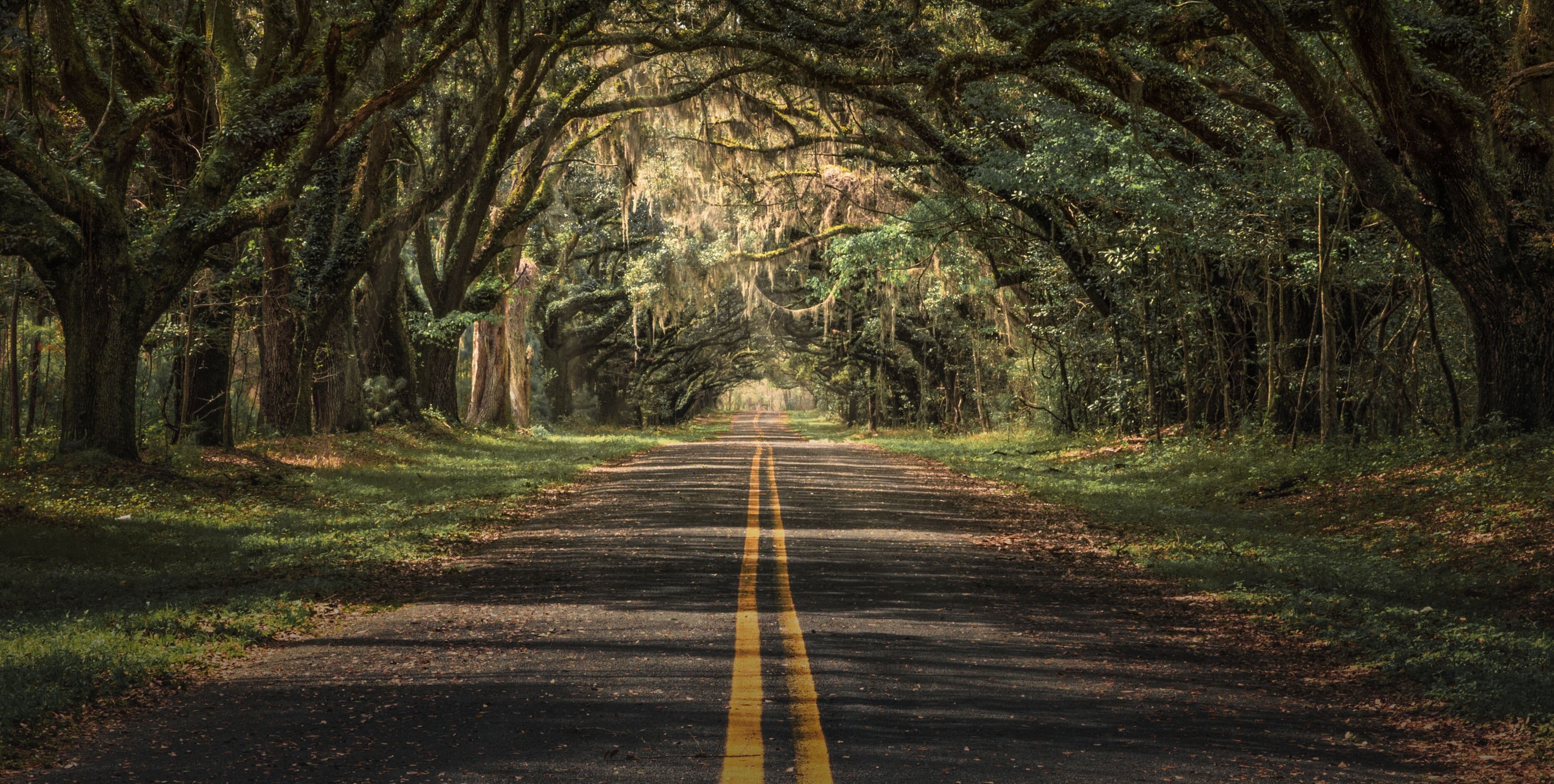 ไลฟ์โอ๊ค