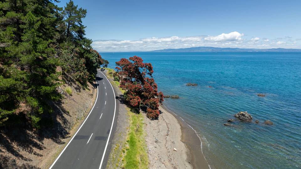 Aerial: Coastline road and flowering pohutukawa trees in Kerata, near Thames, Coromandel Peninsula, New Zealand.