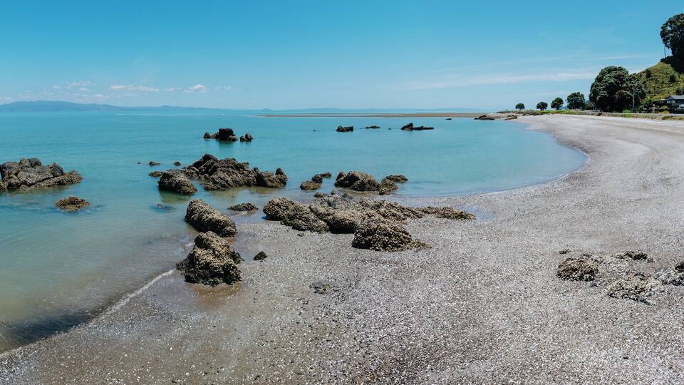 Tranquil beach scene with rocks and clear water. Sunny day at a coastal location. Perfect for relaxation. TE MATA, THAMES, COROMANDEL PENINSULA, NEW ZEALAND