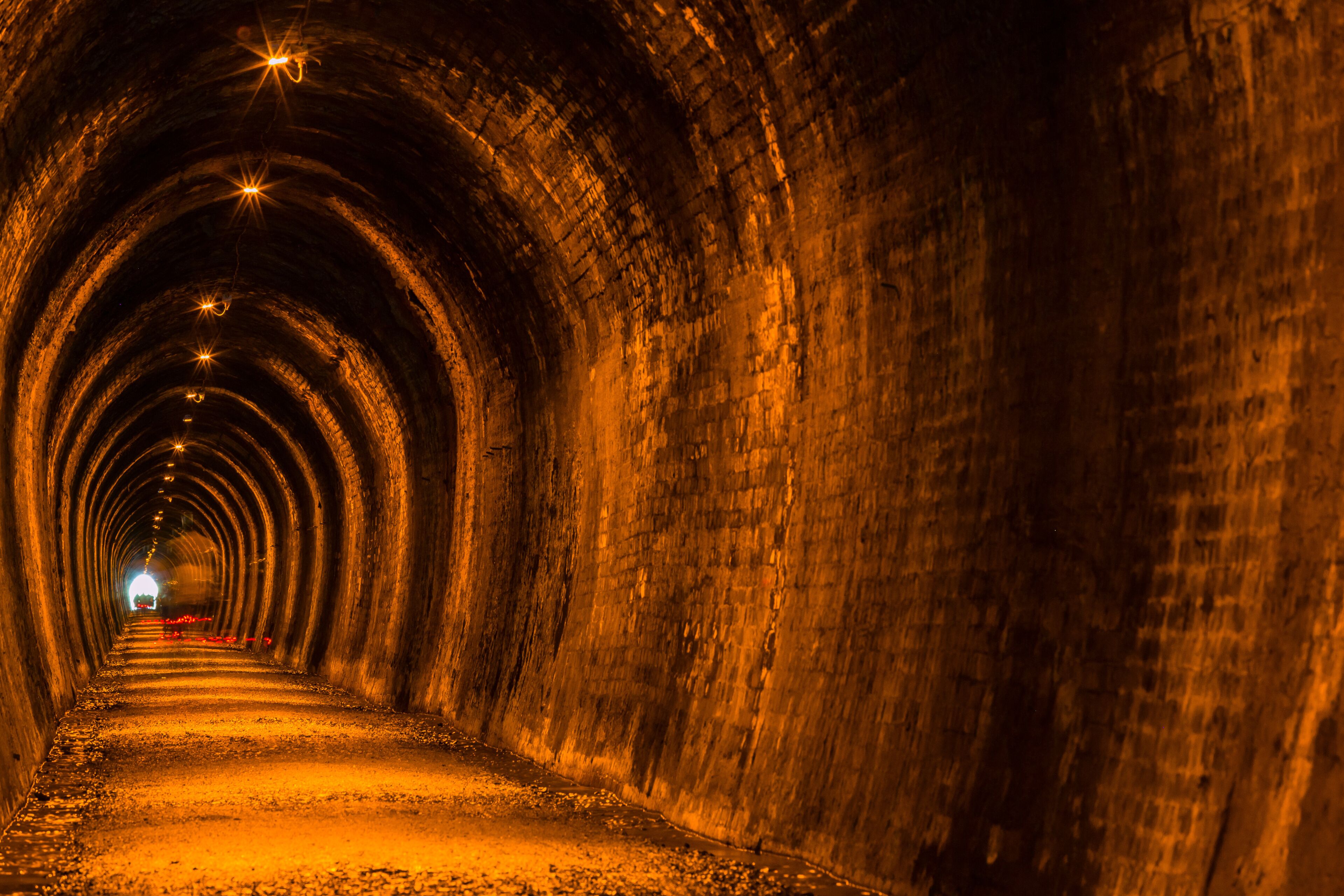 ニュージーランド　コロマンデル近郊のカランガハケ渓谷のトンネル