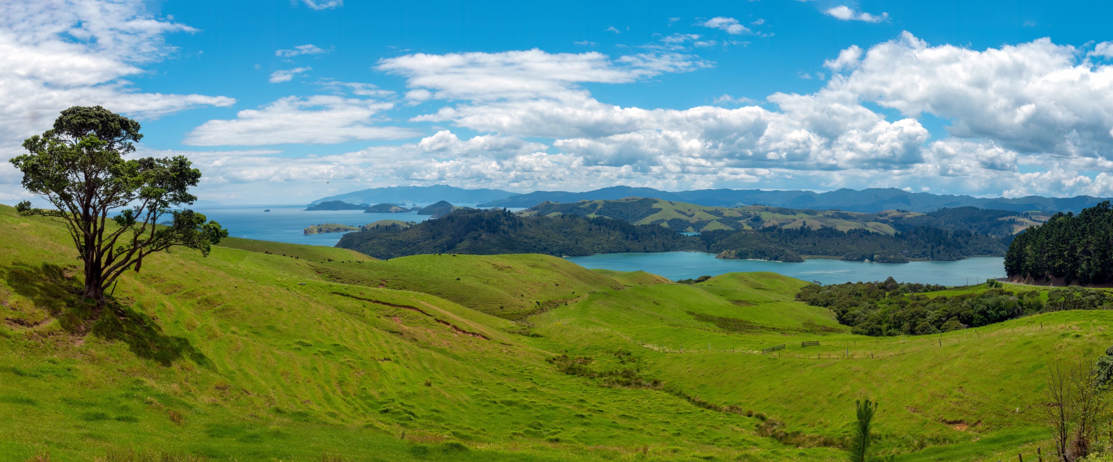 Panoramic view of the Hauraki Gulf (Tikapa Moana), Coromandel Peninsula, north from the western end of the Bay of Plenty, North Island, New Zealand