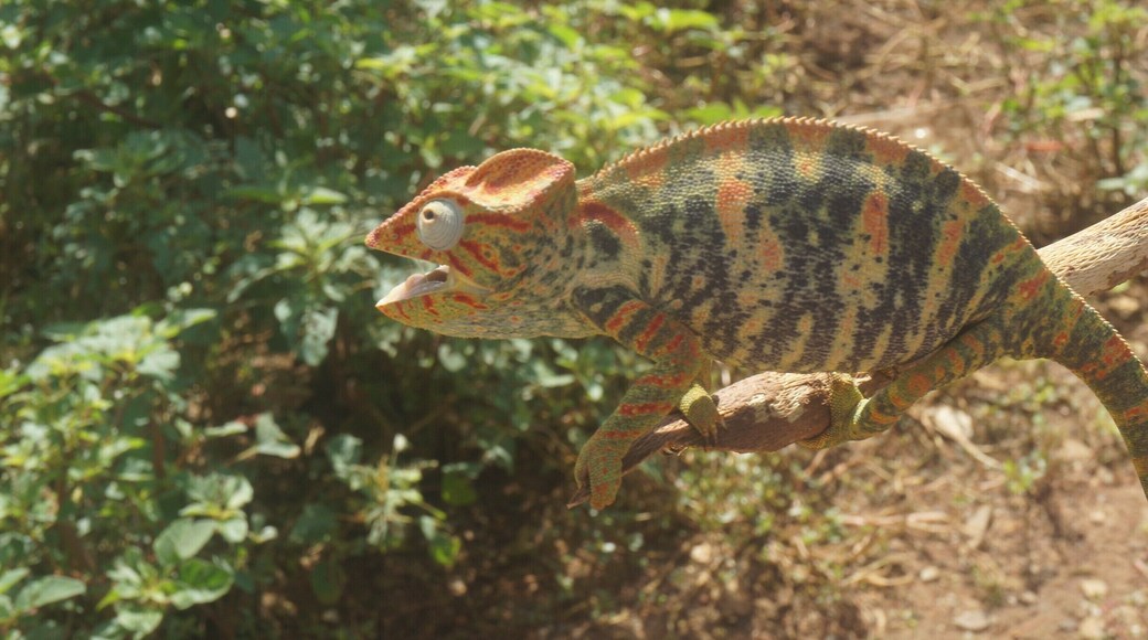 Diego Suarez - Madagascar
#Bestof5