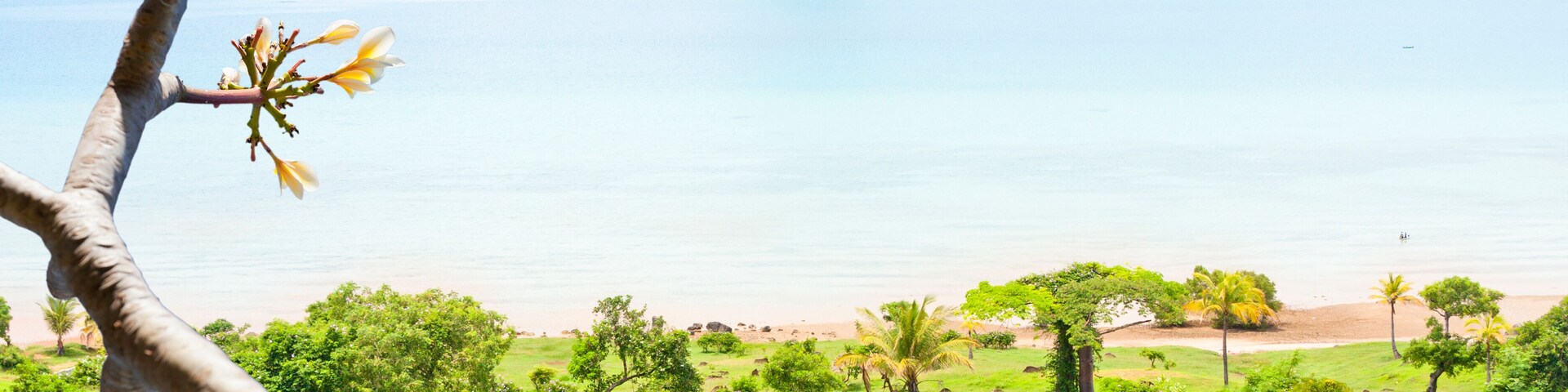 Paisagem verde exuberante com uma grande massa d'água, uma pequena ilha com uma colina imponente, e um galho de árvore com flores em primeiro plano.