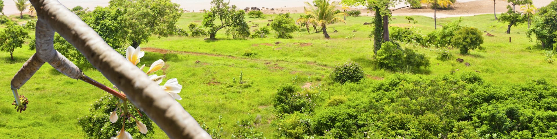 A lush green landscape with a large body of water, a small island, and a mountain in the background.