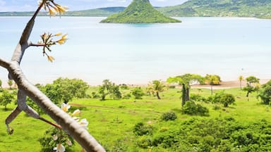 Uma paisagem verdejante e exuberante, com um grande corpo d'água, uma pequena ilha e uma montanha ao fundo.