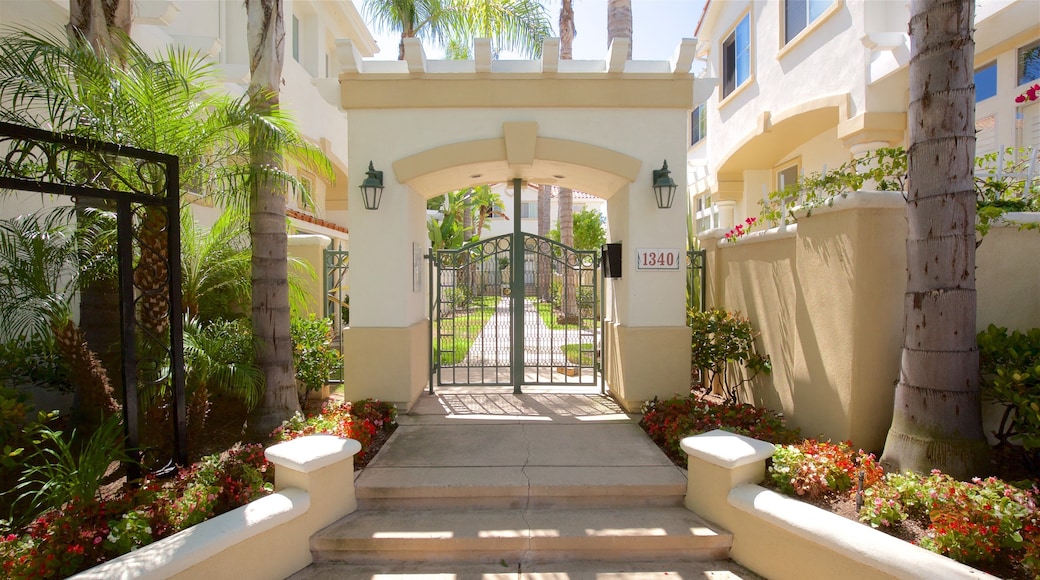 Torrance som viser vilde blomster