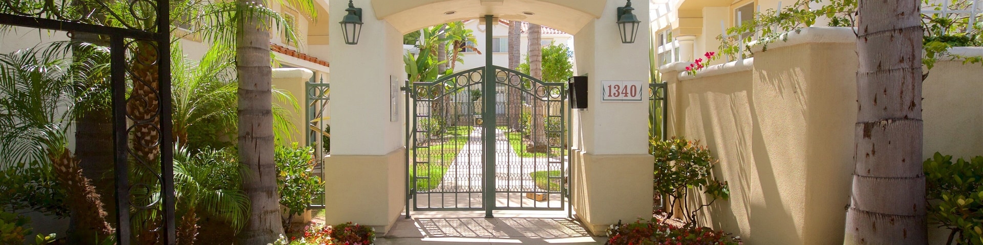 Torrance showing wildflowers