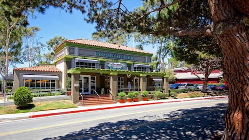 托倫斯 其中包括 街道景色