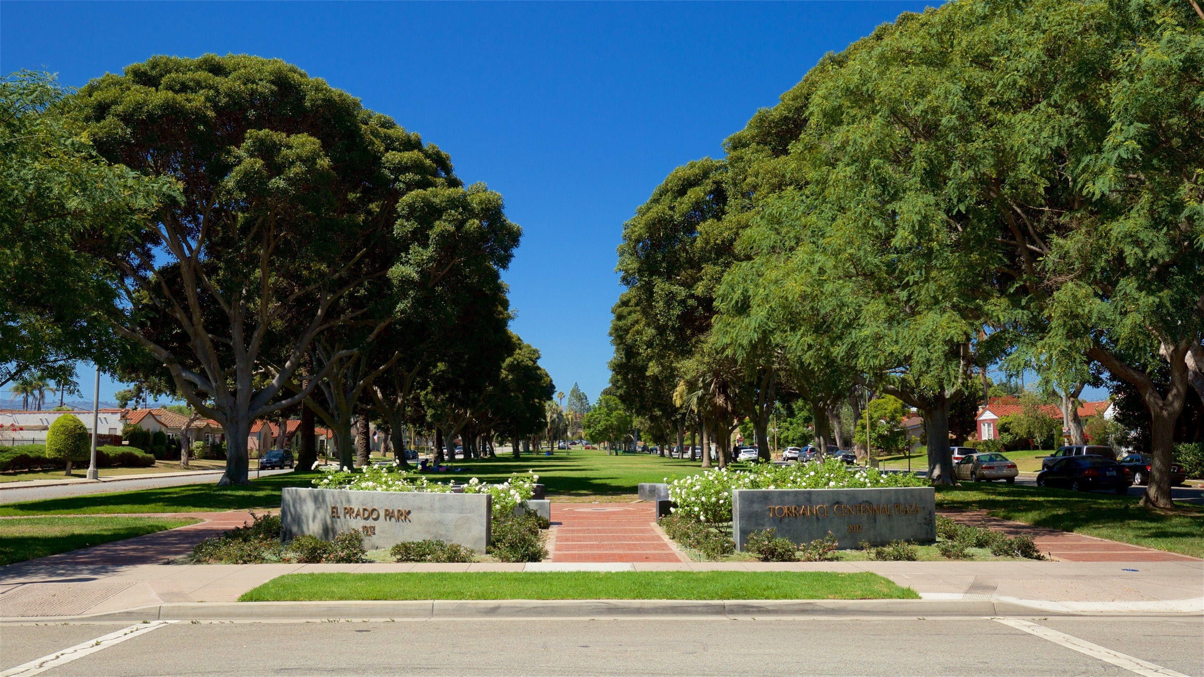 Torrance which includes a park
