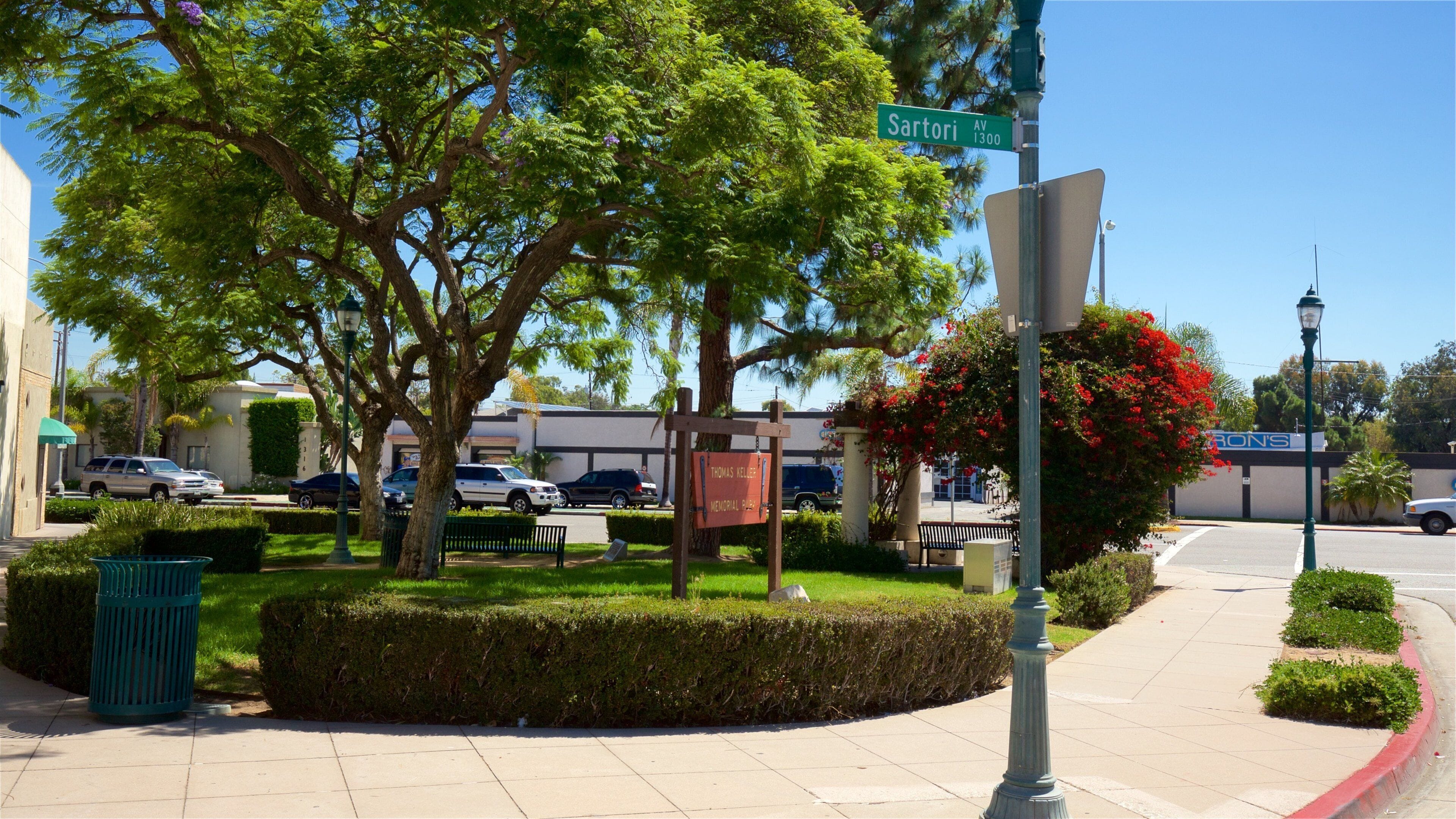 Torrance showing wildflowers and a garden