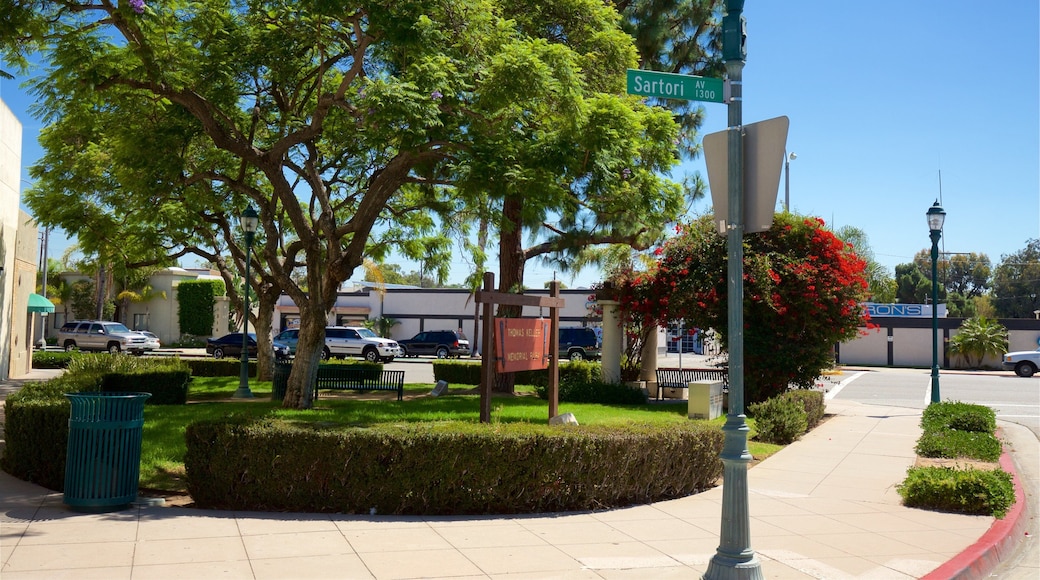 Torrance showing wildflowers and a garden